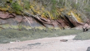 PICTURES/New Brunswick - Fundy National Park/t_Herring Cove3.JPG
